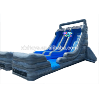 Double Lanes Inflatable Water Slide for Kid, Kids Inflatable Water Slides